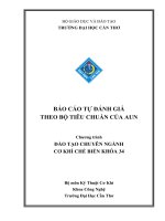 BÁO CÁO TỰ ĐÁNH GIÁ THEO BỘ TIÊU CHUẨN CỦA AUN