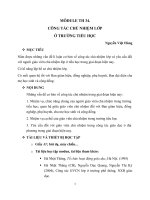 CÔNG TÁC CHỦ NHIỆM LỚP Ở TRƯỜNG TIỂU HỌC