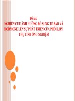 Đề tài:  NGHIÊN CỨU ẢNH HƯỞNG BỔ SUNG TẾ BÀO VÀ HORMONE LÊN SỰ PHÁT TRIỂN CỦA PHÔI LỢN  THỤ TINH ỐNG NGHIỆM