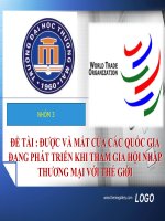 Được và mất của các quốc gia đang phát triển khi tham gia hội nhập thương mại với thế giới