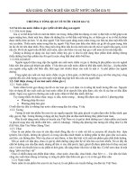 Bài giảng công nghệ sản xuất nước chấm và gia vị