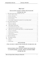 BÁO CÁO CÔNG TÁC ĐOÀN VÀ PHONG TRÀO THANH NIÊN NĂM HỌC 2010 - 2011