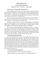 Tiểu luận chủ đề hợp nhất kinh doanh 