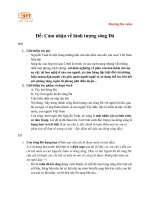 Dàn ý cảm nhận về hình tượng sông đà 