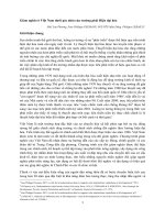 Giảm nghèo ở Việt Nam dưới góc nhìn của trường phái Hiện đại hóa