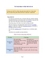 các loại nhựa và đặc tính cơ bản nhất của nhựa