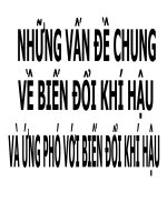 Những vấn đề chung về biến đổi khí hậu và ứng phó với biến đổi khí hậu 