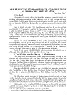 KINH TẾ BIỂN VÙNG ĐỒNG BẰNG SÔNG CỬU LONG - THỰC TRẠNG VÀ GIẢI PHÁP PHÁT TRIỂN BỀN VỮNG