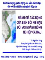 Đánh giá tác động của biến đổi khí hậu đối với nghành nông nghiệp cà mau 