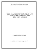 QUY HOẠCH PHÁT TRIỂN NHÂN LỰC TỈNH QUẢNG NINH ĐẾN 2020, TẦM NHÌN ĐẾN 2030