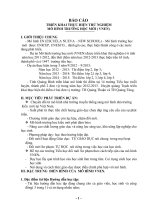 báo cáo triển khai thử nghiệm mô hình trường học mới VNEN