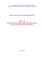 ĐÁNH GIÁ TÁC ĐỘNG MÔI TRƯỜNG (ESIA) CỦA CÁC TIỂU DỰ ÁN NĂM ĐẦU