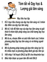 Tóm tắt về dạy học và lượng giá lâm sàng 
