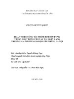 HOÀN THIỆN CÔNG TÁC THẨM ĐỊNH TÍN DỤNG TRONG HOẠT ĐỘNG CHO VAY TẠI NGÂN HÀNG THƯƠNG MẠI CỔ PHẦN GIA ĐỊNH CHI NHÁNH HÀ NỘI