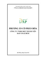 PHƯƠNG ÁN CỔ PHẦN HÓA CÔNG TY TNHH MỘT THÀNH VIÊN DAP-VINACHEM