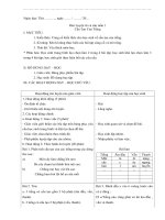 Giáo án rèn luyện từ và câu lớp 4