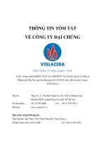 THÔNG TIN TÓM TẮT VỀ CÔNG TY ĐẠI CHÚNG