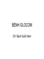 Bài giảng bệnh GLOCOM