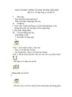 GIÁO án điều CHỈNH tài LIỆU HƯỚNG dẫn học tiếng việt 4