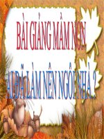 Bài giảng điện tử đề tài Ai đã làm nên ngôi nhà
