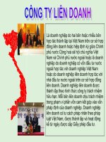 Thuyết trình môn phân tích kinh tế công ty liên doanh và đặc điểm công ty liên doanh ảnh hưởng đến giới công tác phân tích