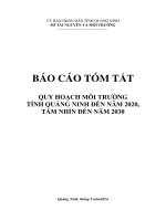 QUY HOẠCH MÔI TRƯỜNG TỈNH QUẢNG NINH