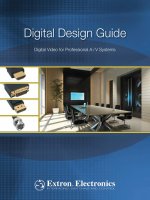Digital video for professional AV systems