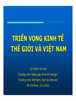 Bài giảng triển vọng kinh tế thế giới và việt nam