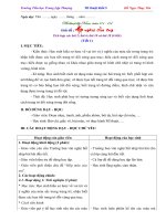 Giáo án mĩ thuật lớp 5 soạn theo chủ đề