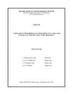 Tiểu luận tổng quan về tình hình xuất nhập khẩu của việt nam và rào cản thương mại ví dụ minh họa 