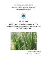 Tiểu luận môn marketing quốc tế phân tích lợi thế cạnh tranh của ngành xuất khẩu gạo việt nam sang indonesia 