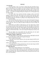 VIÊN XÂY VÀ SỬ DỤNG VỮA CHO KHỐI XÂY BÊ TÔNG KHÍ CHƯNG ÁP