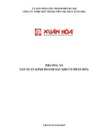 PHƯƠNG ÁN SẢN XUẤT KINH DOANH SAU KHI CỔ PHẦN HÓA