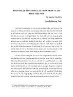 ĐỘ TUỔI KẾT HÔN TRONG LUẬT HÔN NHÂN VÀ GIA ĐÌNH VIỆT NAM