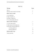 phương pháp hàm số giải phương trình hệ phương trình