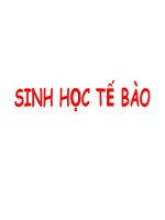 SINH HỌC TẾ BÀO (Đại Học)