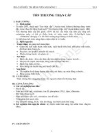 TỔN THƯƠNG THẬN CẤP