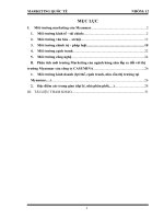 Phân tích môi trường marketing của ngành hàng săm lốp xe đối với thị trường myanmar của công ty CASUMINA