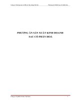 PHƯƠNG ÁN SẢN XUẤT KINH DOANH SAU CỔ PHẦN HOÁ