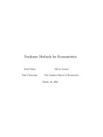 non linear methods of econometrics 