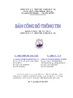 BẢN CÔNG BỐ THÔNG TIN CÔNG TY ĐẦU TƯ PHÁT TRIỂN NHÀ ĐÀ NẴNG