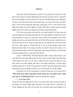 Giải pháp hoạt động truyền thông cho sản phẩm rượu Voka công ty TNHH Dong tien