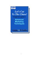 Beginners guide to advanced marketing techniques 