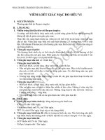 VIÊM LOÉT GIÁC MẠC DO SIÊU VI