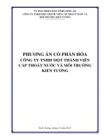PHƯƠNG ÁN CỔ PHẦN HÓA CÔNG TY TNHH MỘT THÀNH VIÊN CẤP THOÁT NƯỚC VÀ MÔI TRƯỜNG KIẾN TƯỜNG