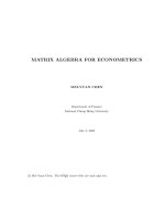 Matrix algebra for econometrics 