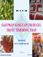 Giải pháp nâng cấp chuỗi giá trị ớt tỉnh đồng tháp