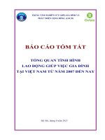 TỔNG QUAN TÌNH HÌNH LAO ĐỘNG GIÚP VIỆC GIA ĐÌNH TẠI VIỆT NAM TỪ NĂM 2007 ĐẾN NAY
