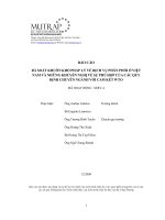 RÀ SOÁT KHUÔN KHỔ PHÁP LÝ VỀ DỊCH VỤ PHÂN PHỐI Ở VIỆT NAM VÀ NHỮNG KHUYẾN NGHỊ VỀ SỰ PHÙ HỢP CỦA CÁC QUY ĐỊNH CHUYÊN NGÀNH VỚI CAM KẾT WTO