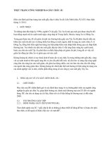 THỰC TRẠNG CÔNG NGHIỆP DA-GIẦY CHÂU ÂU